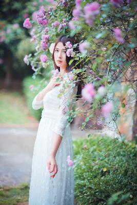 天使与龙的轮舞